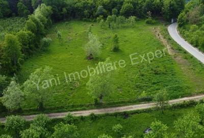 Teren de 8387 mp, în Corbi - 9