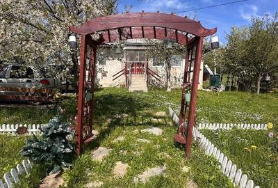 Casă cu 3 camere cu Teren 13000 Mp în Central - 3