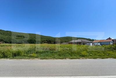 Teren de 4900 mp, în Central - 6