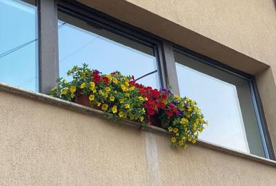 Casă cu 7 camere cu Teren 428 Mp în Central