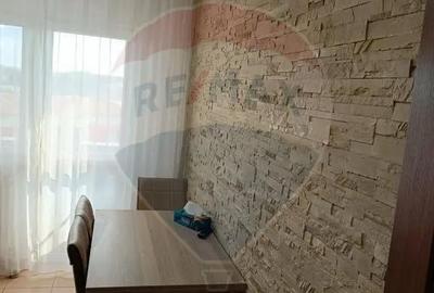 Apartament cu 2 camere decomandat, mobilat în George Enescu - 4