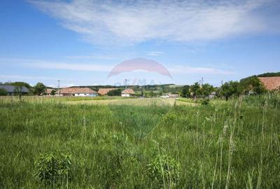 Teren de vanzare Blajel, jud. Sibiu | 15.360 mp - p... - 3
