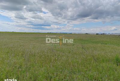 Teren de 114000 mp, în Ariceștii Rahtivani - 7