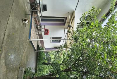 Apartament cu 3 camere decomandat în Iosefin - 7