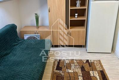 Garsonieră nedecomandată, mobilată în Iosefin