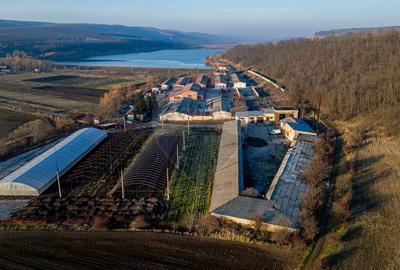 Spațiu industrial, 50000 mp în Horgești