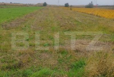 Teren de 2600 mp, în Rădăuți - 3