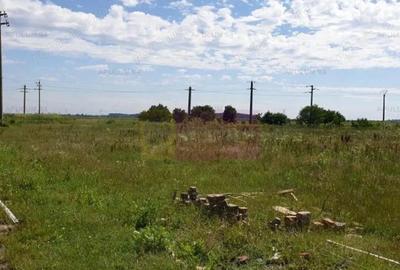 Teren aproape de Bucuresti langa padure intre case - 1