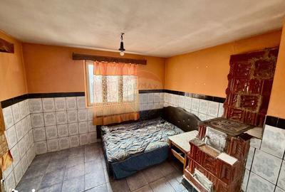 Casă cu 4 camere cu Teren 7727 Mp în Cârligele - 20