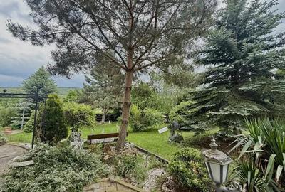 Casa premium de inchiriat in Borhanci , gradina spectaculoasa! - 15