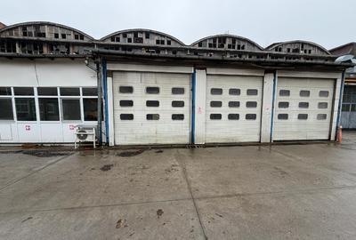 Spațiu industrial, 600 mp în Domenii - 5