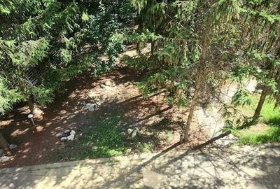 Baneasa Teisani vila 7 camere teren 1000 mp - 19