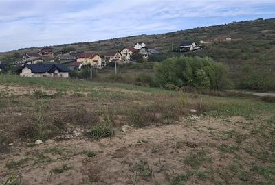Teren Intravilan Dorobant Aroneanu,parcele de 500 mp