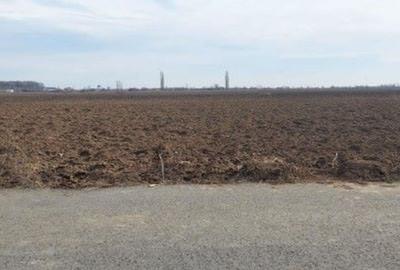 Parcelă teren 433 mp lângă pădure - 3