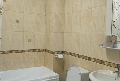 Garsonieră decomandată în Bucium - 10