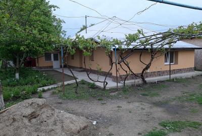 Casă cu 4 camere în Prisăcani - 8