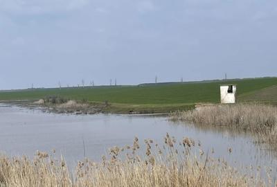 Teren de 120000 mp, în Drăgănești-Vlașca - 3