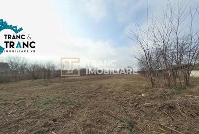 Teren Construcții intravilan de 1250 mp, în Zerind - 1