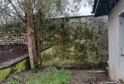 Casă cu Teren 1000 Mp în Cerchezu - 2