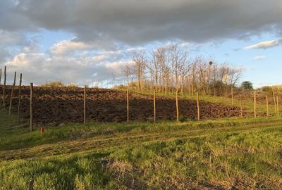 Spațiu comercial, în Valter Mărăcineanu - 1