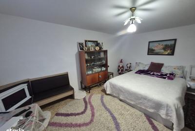 Casă cu 2 camere cu Teren 5135 Mp în Dobreni - 7