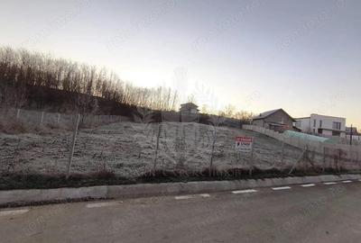 Teren de 2700 mp, în Plopu - 3