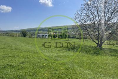 Teren Extravilan ,2386 mp, oportunitate de investitie - 2