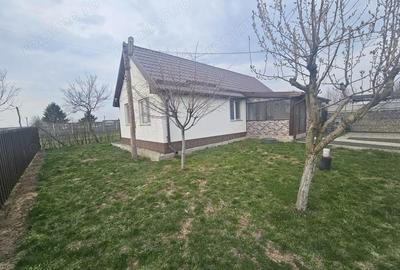 Casă cu Teren 1667 Mp în Alioș - 17