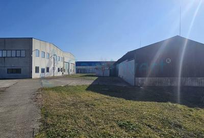 Spațiu industrial, de 6,227 mp, în Homorog - 13