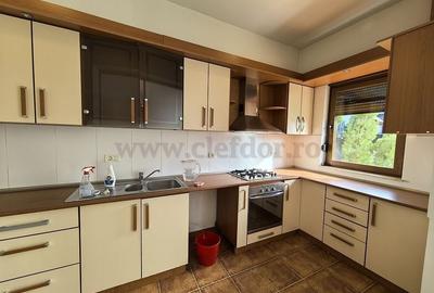 Vilă individuală cu piscină, Iancu Nicolae - 8