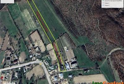 Casă cu 3 camere cu Teren 5000 Mp în Grajduri - 3