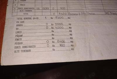 Casa batraneasca cu teren arabil si padure - 4