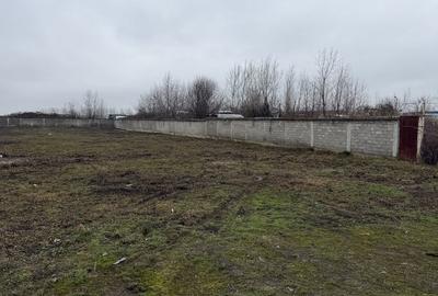 Spațiu comercial, în Colanu - 4