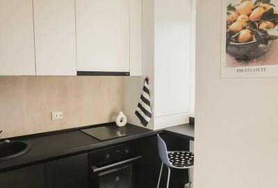 Garsoniera Theodor Pallady Garsoniera Theodor Pallady - 2