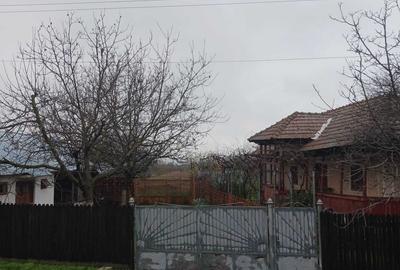 Casă cu 3 camere în Verguleasa - 1