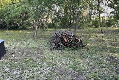 Casă cu Teren 12000 Mp în Chitila