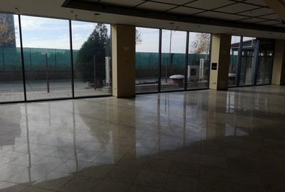 PIPERA-Porsche inchirieri/vanzari spatii cladire clasa A 200 mp-15000 mp - 16