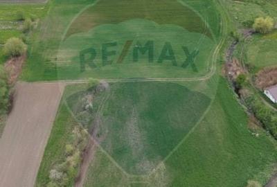 Teren agricol extravilan de 25100 mp, în Prejmer - 3