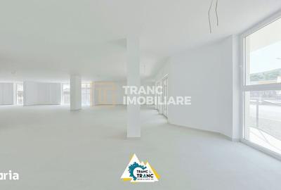 Spațiu comercial, de 200 mp, în Micălaca - 2