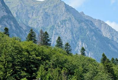 Sinaia-Vadul Cerbului,S+P+E+M,teren 6300mp,desch.DN=72m,vila+restaurant+terasa - 17