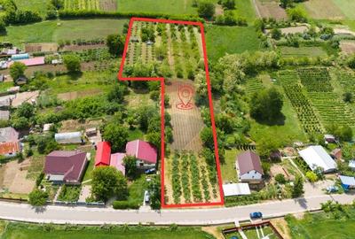 Teren 6,571mp Negresti / Strada Casa Apelor