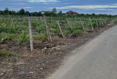 Spațiu comercial, în Odobești - 5