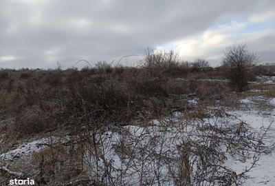 Teren de 11000 mp, în Tomești - 6