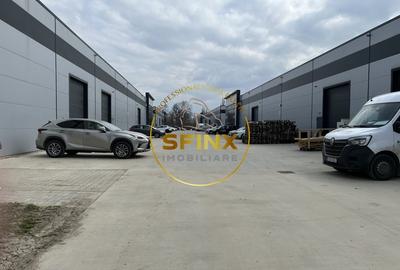 Spațiu industrial, de 760 mp, în Mogoșoaia - 11