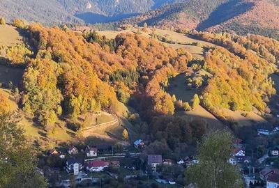 Teren de 9862 mp, în Șimon