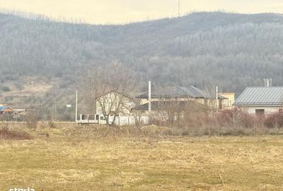 Teren de 3000 mp, în Aninoasa - 9