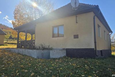 Vand casa in Dami? - 4