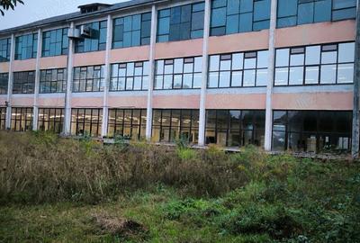 Spatii de productie de inchiriat - 1