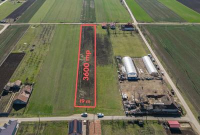 Teren Construcții intravilan de 3600 mp, în Sud-Est - 1