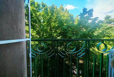 Bd. Unirii - vedere Bulevard - Piata Constituției, Apartament spatios la cheie - 6